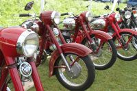 Soubor: IMG_1987.jpg